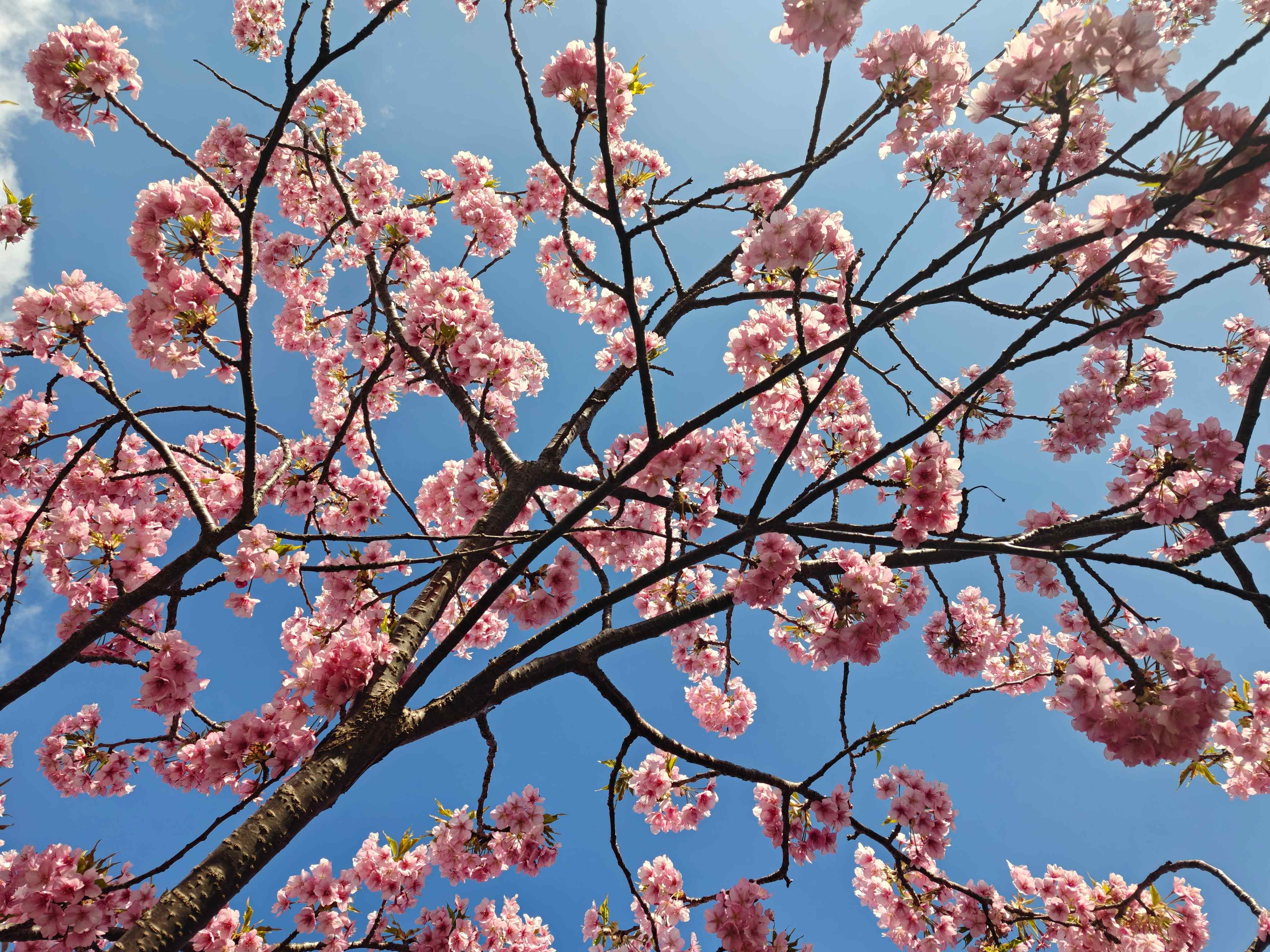 🏯 을보사 (옷포지) 이미지 8